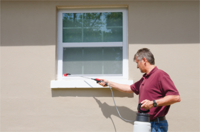 Rodent Control in Largo FL -- Pest Eliminators - Florida  
